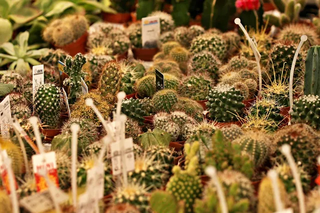 fioriere di porfido per giardino