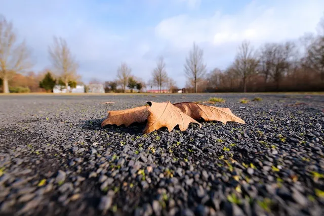 Stone_Wood_Light_02