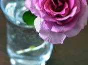 fioriere-porfido-25
