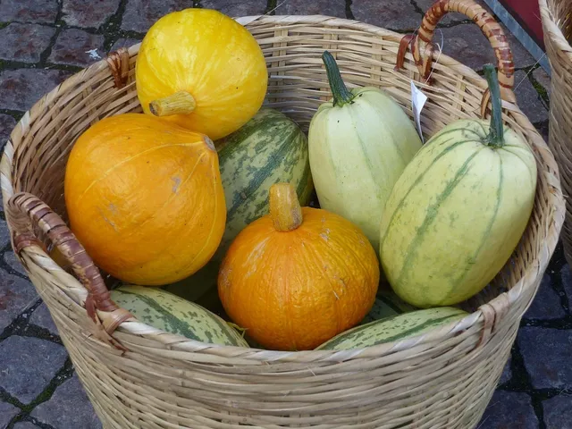 cestino porta rifiuti per parchi