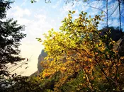 Stone_Wood_Light_07