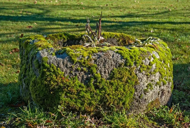 Lona Stone Box