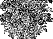 fioriere-porfido-10