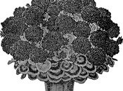 fioriere-porfido-03