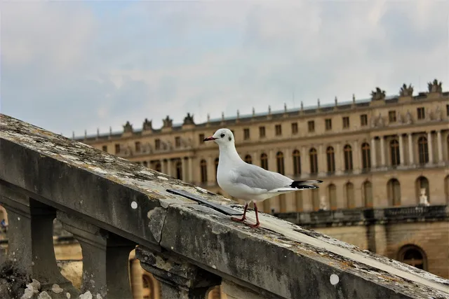 arredi in porfido trentino