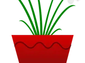 fioriere di porfido per giardino