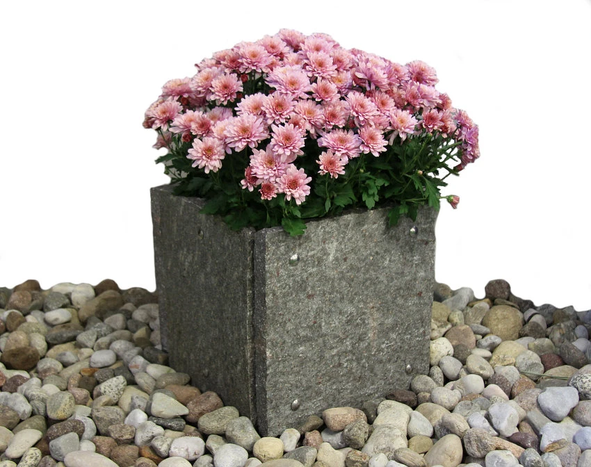Stone Box Junior